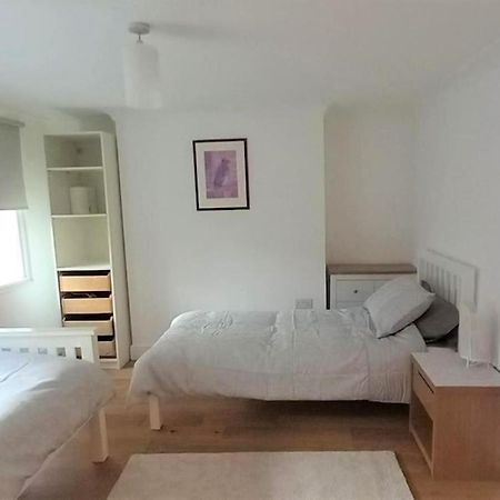 2 Bedroom Victorian Garden Flat Londres Exterior foto